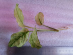 20180324_121906.jpg