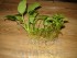 DSC01820.jpg