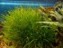 DSCN1024.JPG