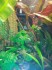 IMG-20161217-WA0006.jpg