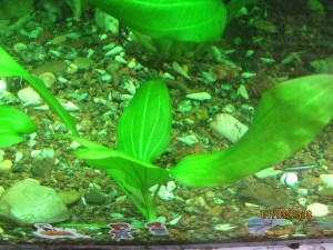 IMG_0030.JPG