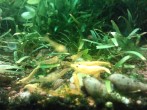 IMG_20180318_185213.jpg