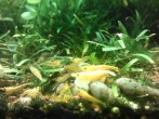 IMG_20180318_185220.jpg