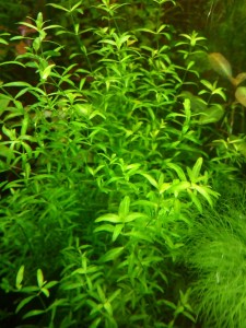 copy_224_IMG_20180216_153036.jpg