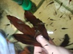 copy_419_copy_161_IMG_20170123_160722.jpg