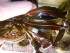 copy_476_IMG_20170123_154407.jpg