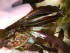 copy_490_IMG_20170123_154412.jpg