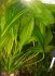 copy_509_copy_948_IMG-20161129-WA0013-1.jpg