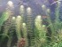 copy_523_copy_933_030120081778.jpg