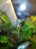 copy_601_IMG-20161217-WA00071.jpg
