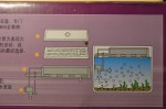copy_672_DSC_0013.jpg