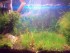 100_1306.JPG