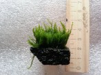 20180406_112804.jpg
