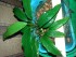 20180406_113518.jpg
