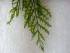 20180419_105759.jpg