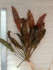 20180424_081121.jpg