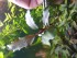 20180424_183819.jpg
