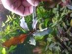 20180424_183828.jpg