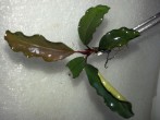 20180424_184000.jpg