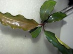 20180424_184005.jpg