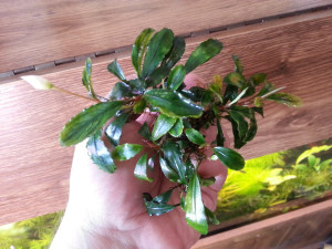 20180429_093552.jpg