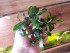 20180429_093552.jpg