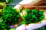 DSCF6094.jpg