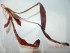 DSCN3271.JPG