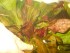 copy_254_copy_356_IMG-20161207-WA0002.jpg