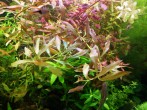copy_329_IMG_20180403_183407.jpg