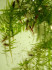 copy_517_copy_980_copy_901_media-share-0-02-04-0dc0c6c6a240eda10da469eab71ad605f60337e5a7e1516dcca3ba5a1dd3831d-cb5ad6b7-d4b7-49d5-81ee-51bad3aff885.jpg