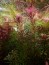 copy_68_IMG_20180403_183524.jpg