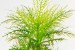 copy_754_copy_449_copy_299_029.jpg