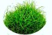copy_868_copy_44_copy_873_copy_214_белем_cr.jpg
