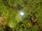 copy_875_030220081844.jpg