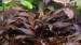 copy_880_DSC08308.jpg