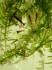 copy_955_copy_420_copy_490_media-share-0-02-04-6ec13b63b57dc824dd0710aab99a3c580a1ee08ba2eca853567de783ffa1f352-85a1fa6f-967f-41ae-8e11-efea16a0a3eb.jpg