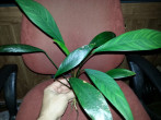 20150923_204347.jpg