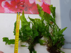 20180502_204520.jpg