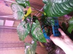 20180504_153754.jpg