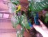 20180504_153754.jpg