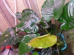 20180504_180415.jpg