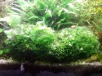 20180514_172208.jpg