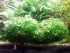 20180514_172208.jpg