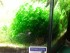 20180514_172218.jpg