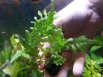 20180518_142850.jpg