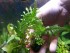 20180518_142850.jpg