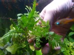 20180518_142853.jpg