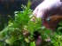 20180518_142853.jpg