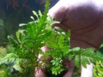 20180518_142906.jpg